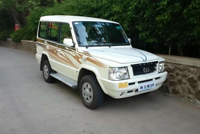 sumo gold